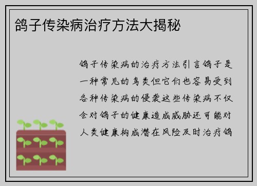 鸽子传染病治疗方法大揭秘